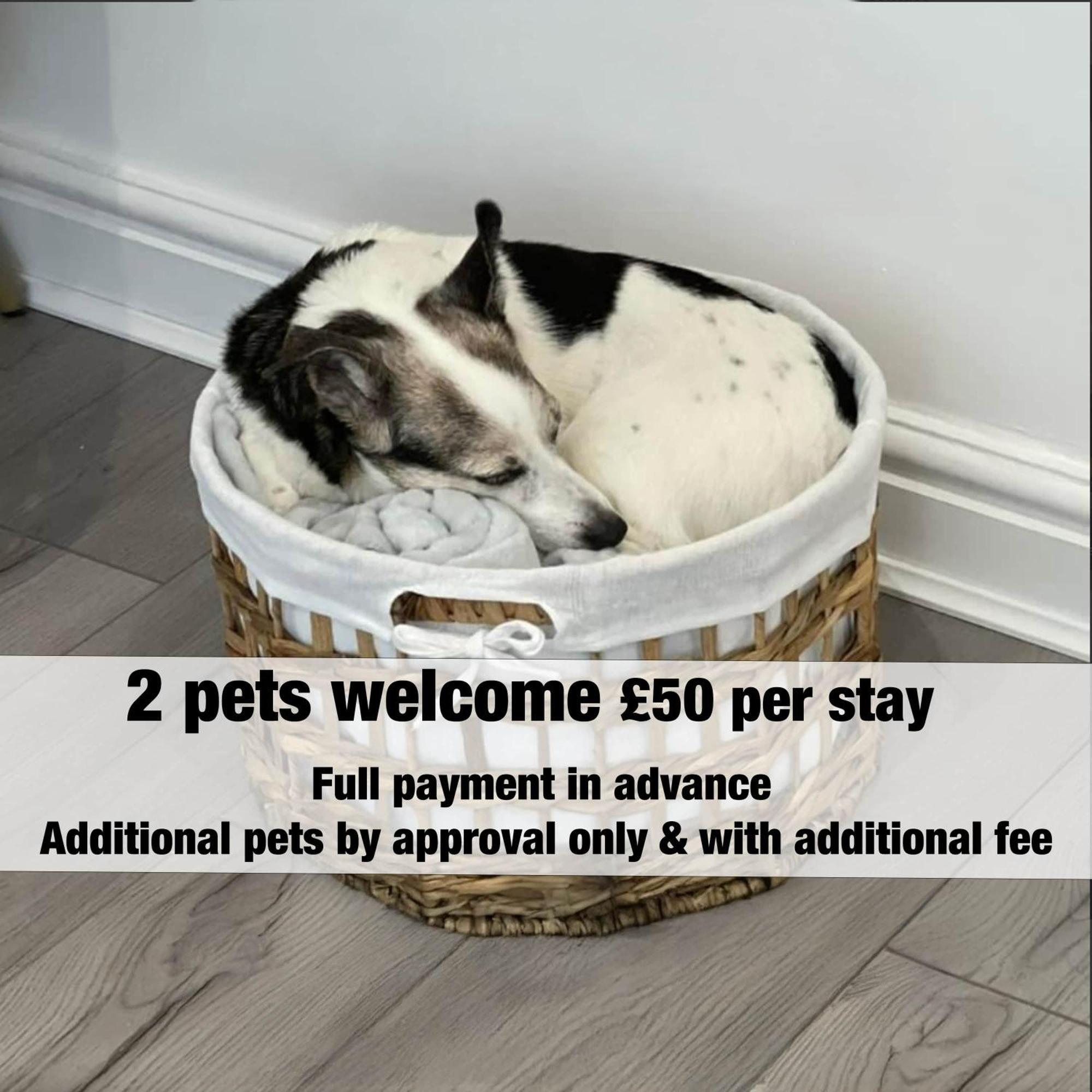 The Lockett Wonderful Large Plympton, Free Parking By Staystaycations